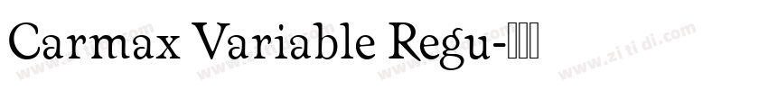 Carmax Variable Regu字体转换
